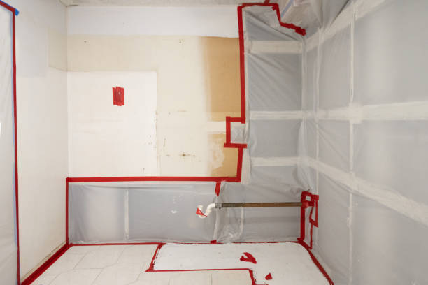 Best Post-Remediation Verification Testing  in Kenton, OH