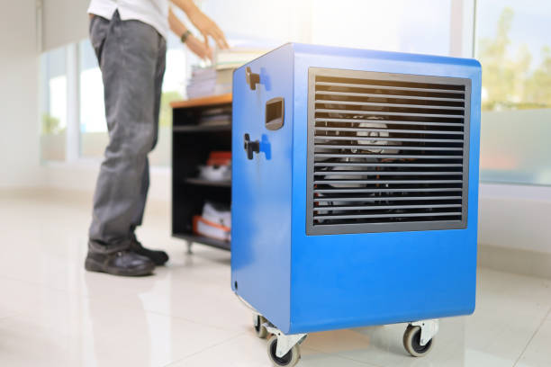 Best Mold Damage Restoration  in Kenton, OH