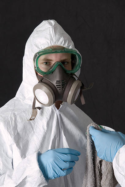 Professional Mold Removal in Kenton, OH